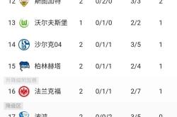 九游官网-沙尔克客场不敌对手，积分榜稍有下滑的简单介绍