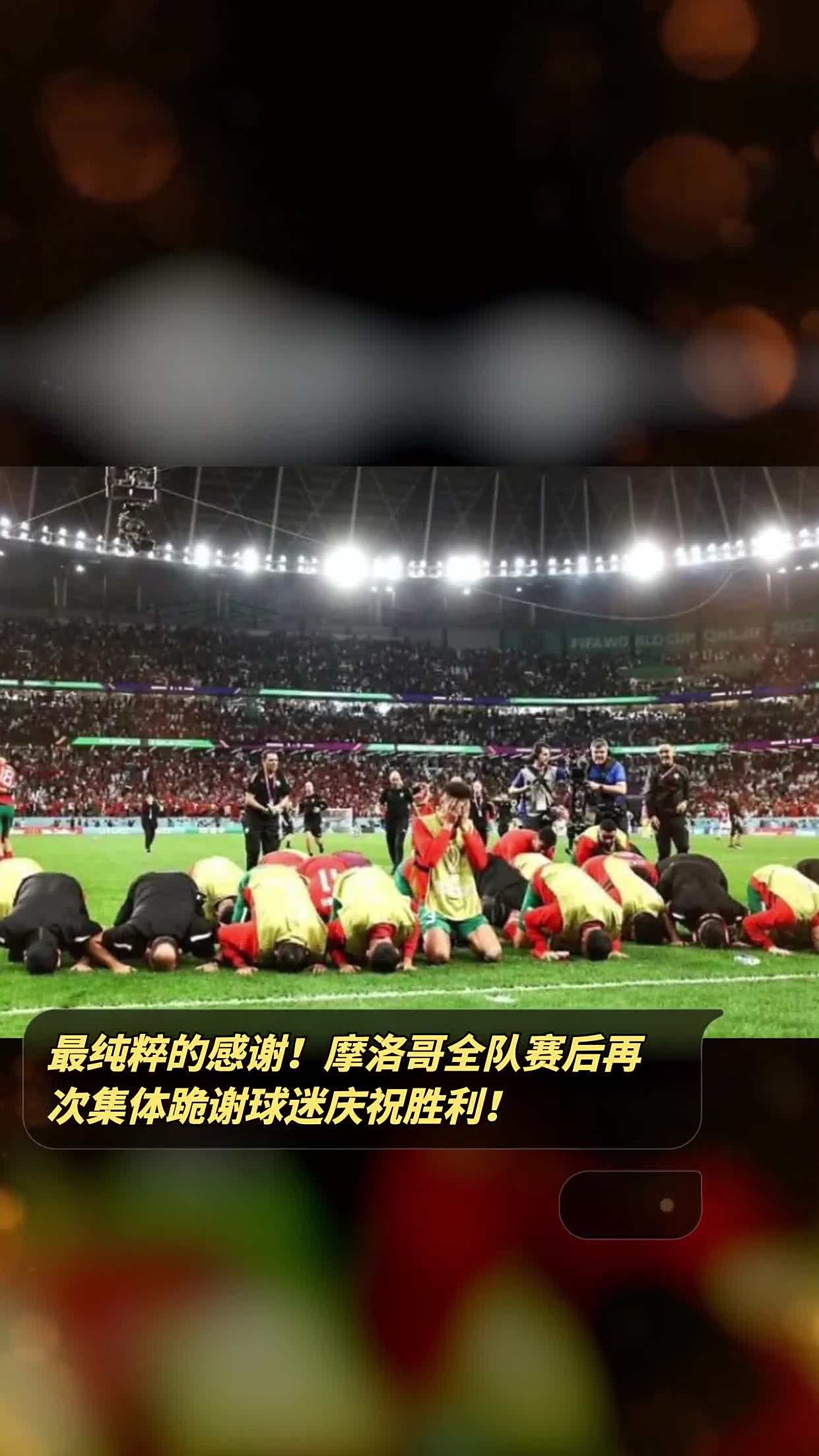 葡萄牙队主教练宣布退役，感谢球迷支持