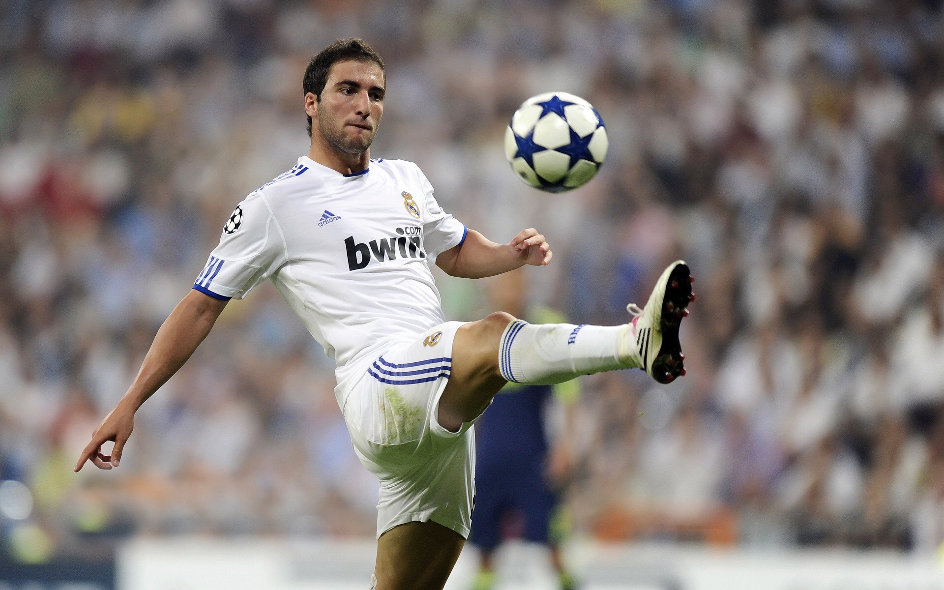 征服与被征服者，当胜利的焰火照亮两种灵魂的真相